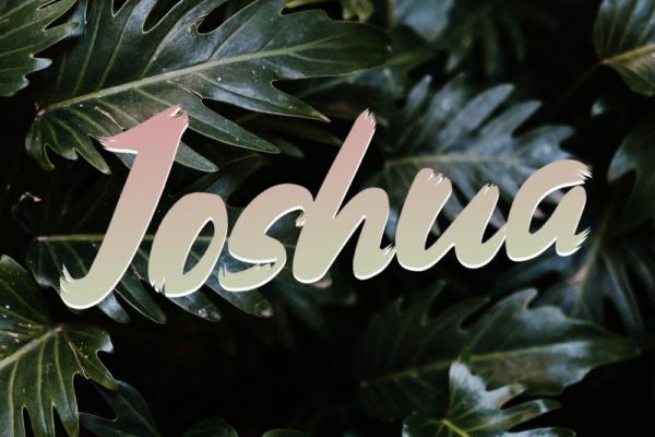 Joshua Series